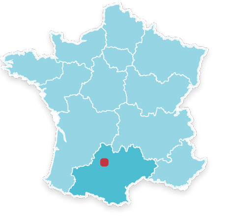 82800 BIOULE